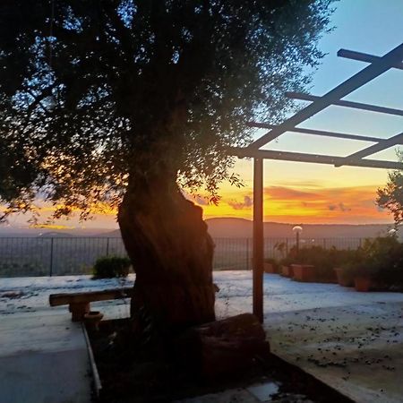 San Calogero Il Colle Degli Ulivi酒店 外观 照片