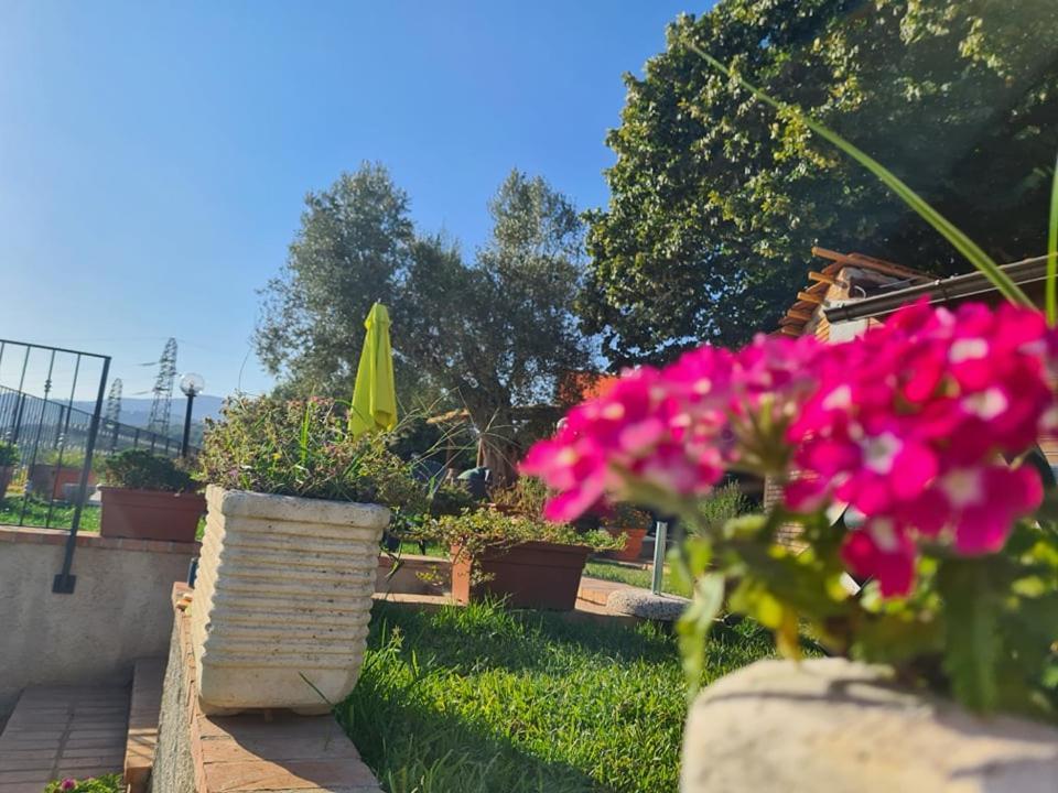 San Calogero Il Colle Degli Ulivi酒店 外观 照片