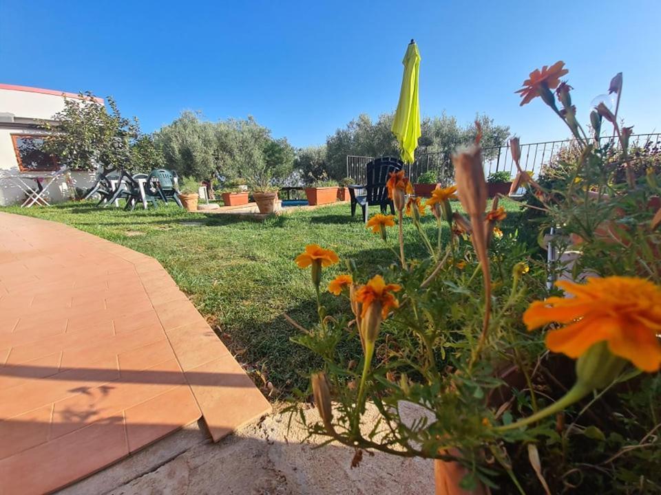 San Calogero Il Colle Degli Ulivi酒店 外观 照片