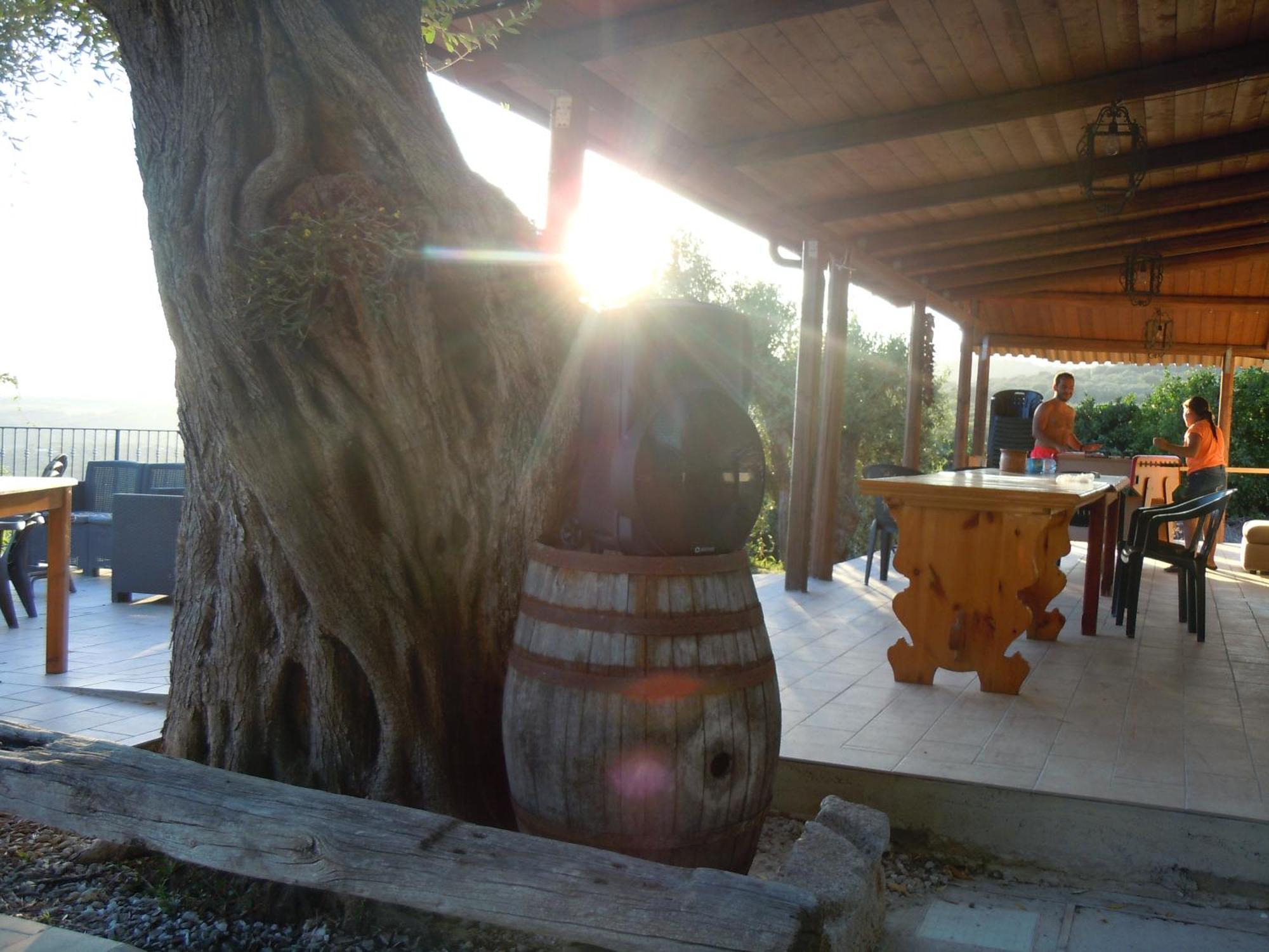 San Calogero Il Colle Degli Ulivi酒店 外观 照片