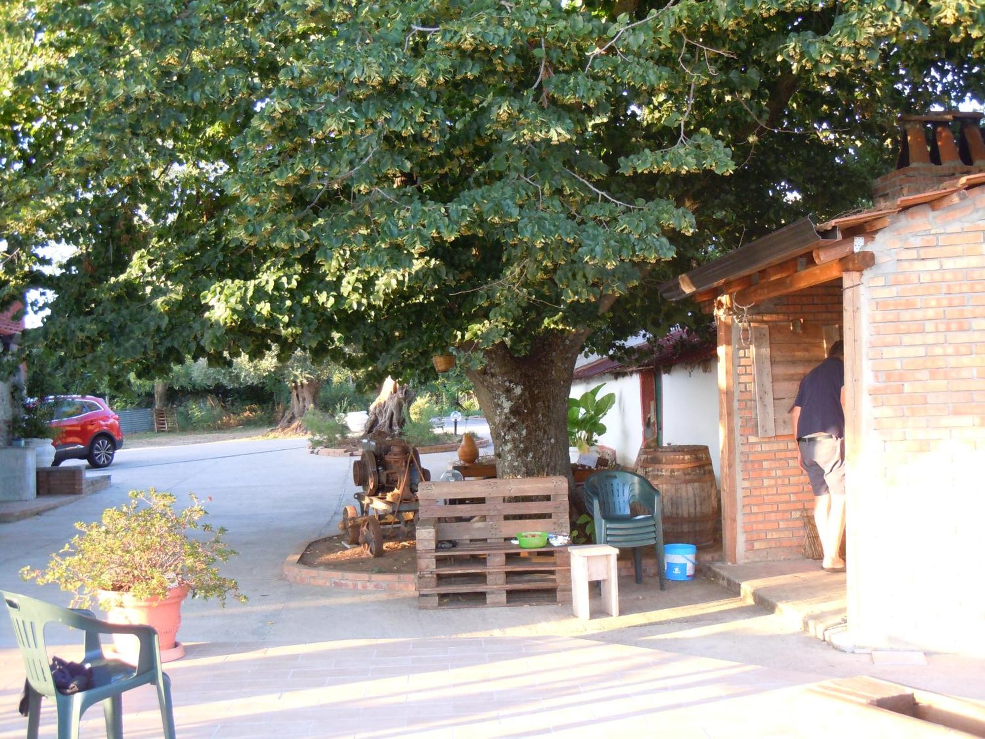 San Calogero Il Colle Degli Ulivi酒店 外观 照片