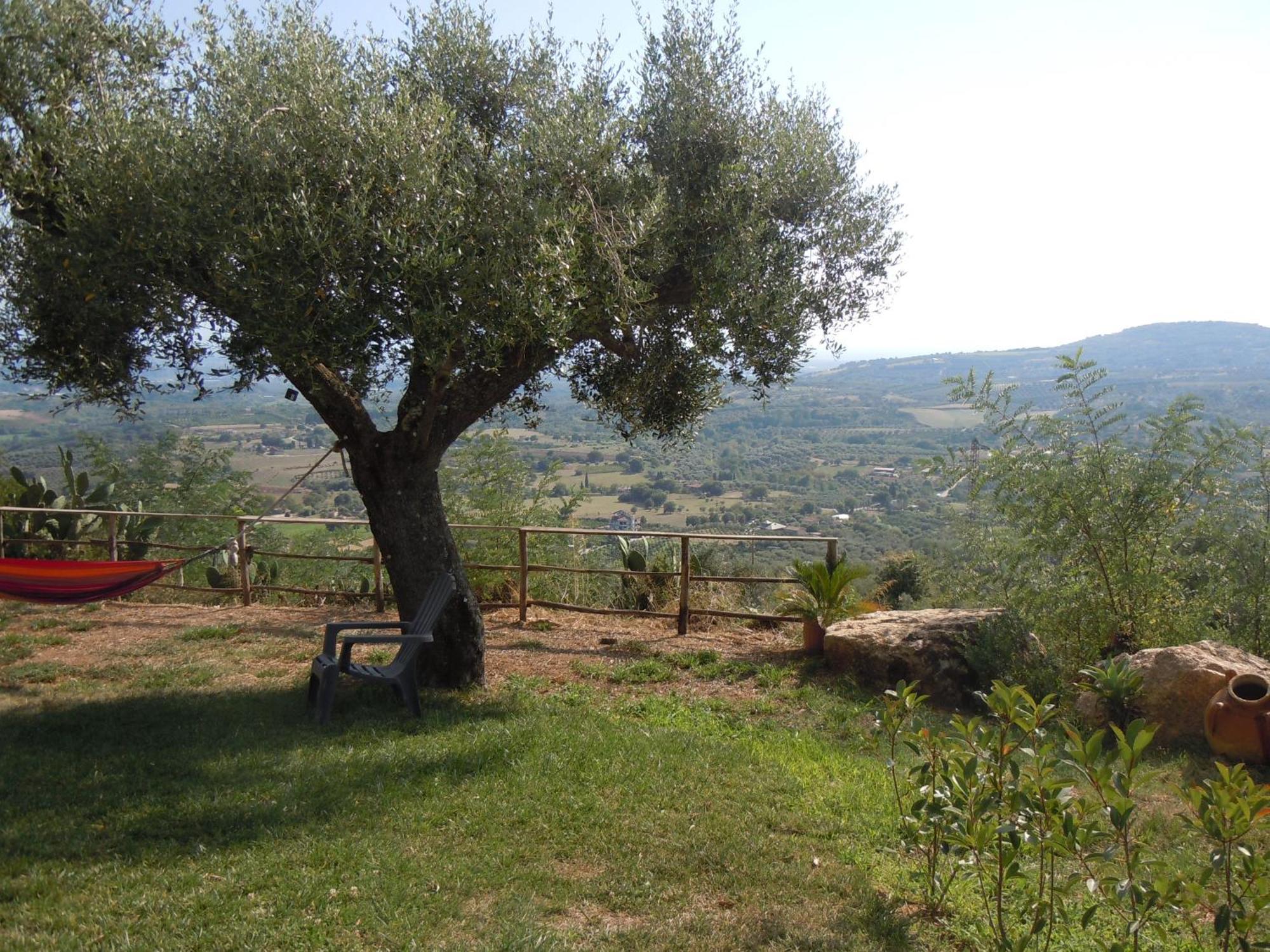 San Calogero Il Colle Degli Ulivi酒店 外观 照片