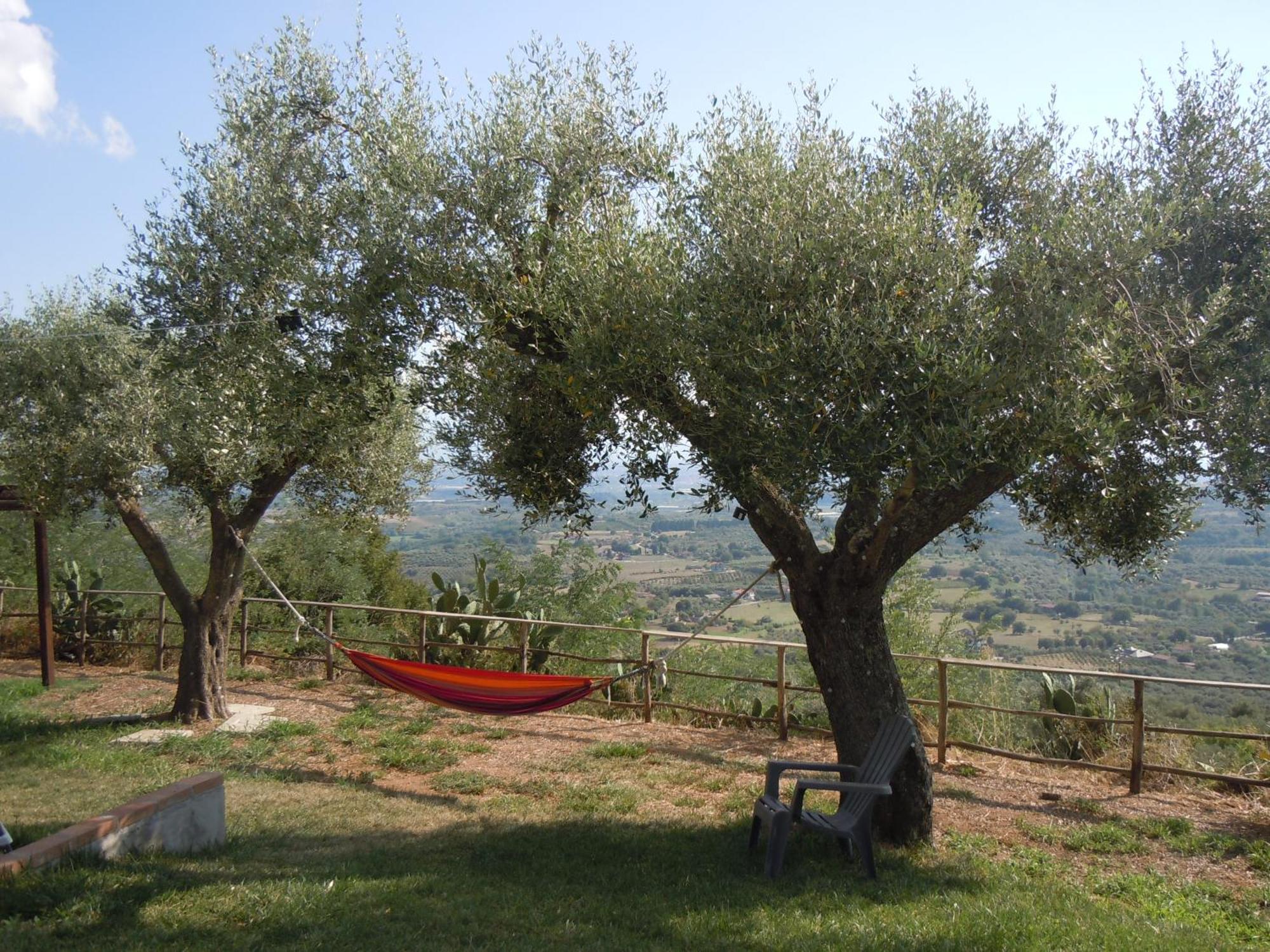 San Calogero Il Colle Degli Ulivi酒店 外观 照片